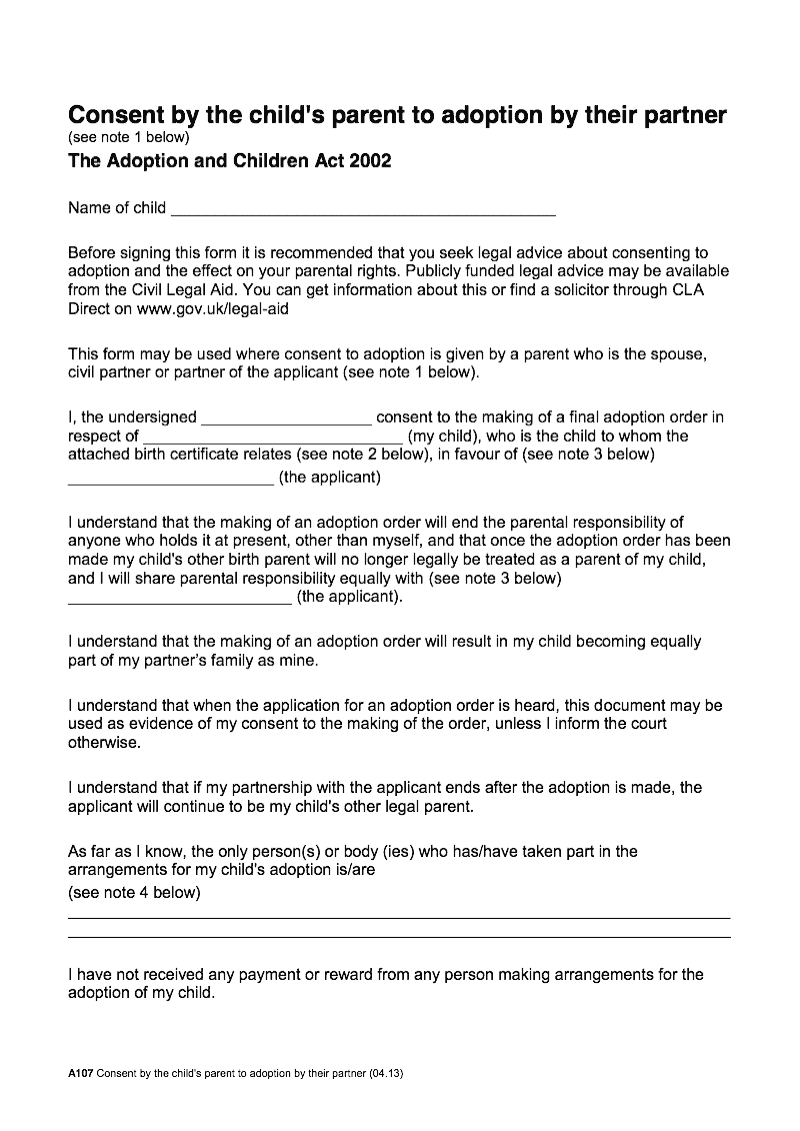 essay on adoption of child