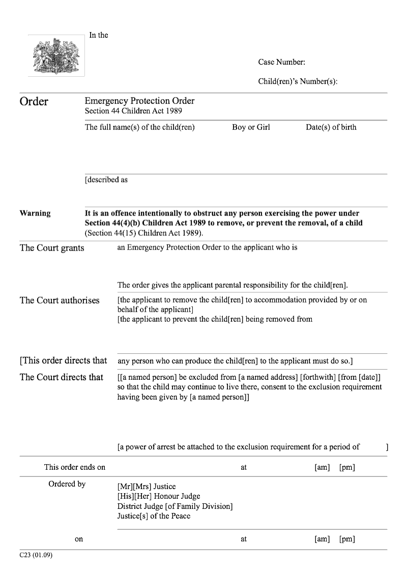 emergency child protection order