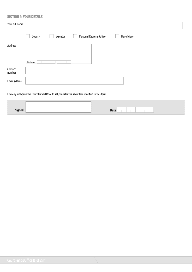 Preview thumbnail for CFO SST1