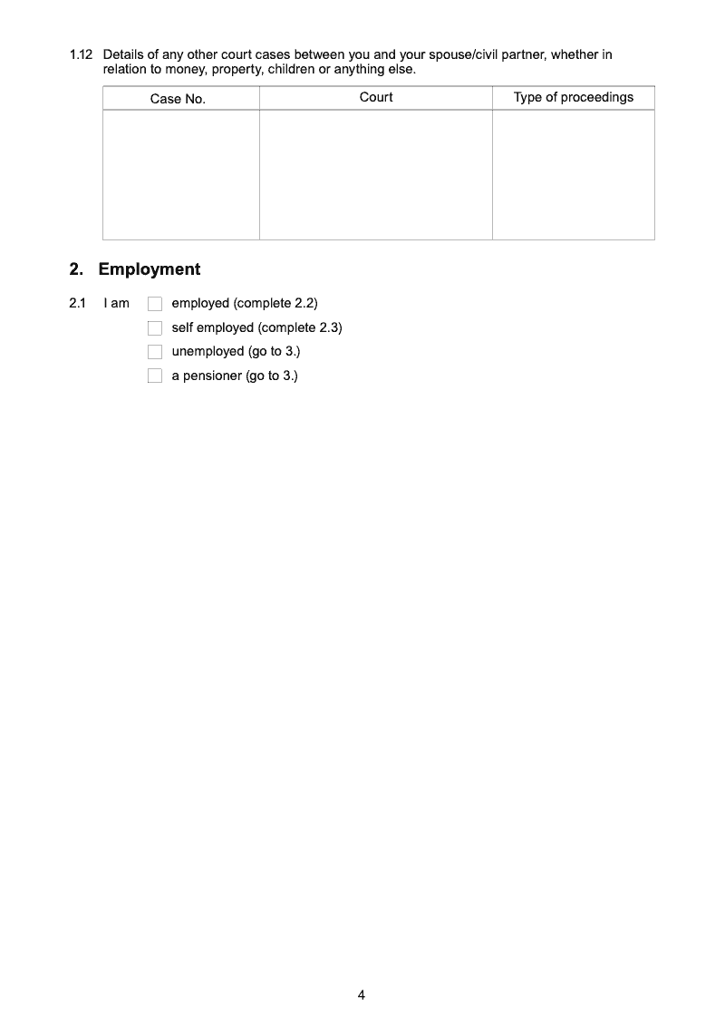 Preview thumbnail for Form E1