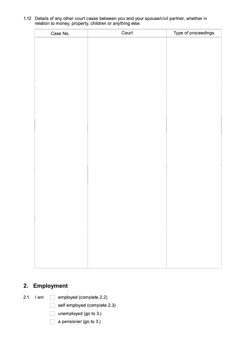 Preview thumbnail for Form E1 Long