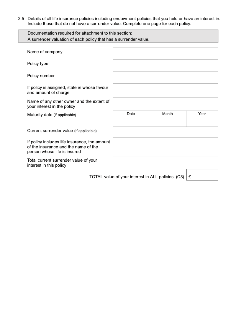 Preview thumbnail for FormE