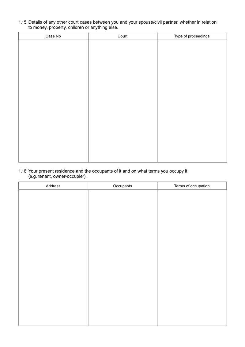 Preview thumbnail for FormE