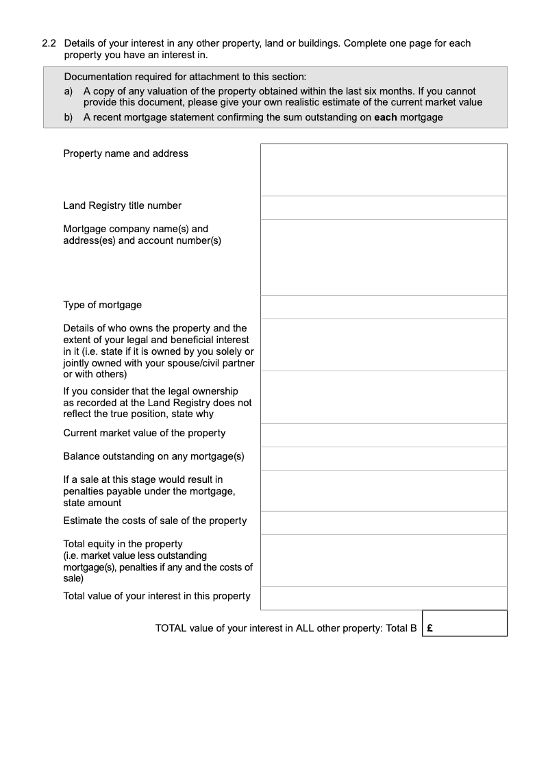 Preview thumbnail for FormE